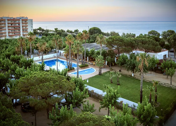 Camping Bellsol